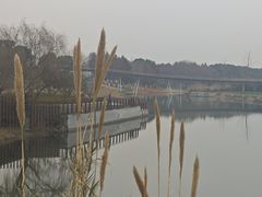 -江滩湿地公园