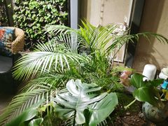 -小隐足道·按摩·主题SPA馆(西红门店)