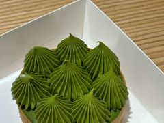 抹茶挞-猫里有甜