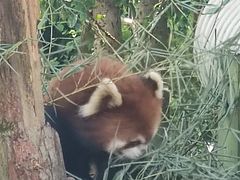 -宁波野生动物园