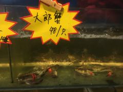 -隐厨·海鲜餐厅(恒通路店)