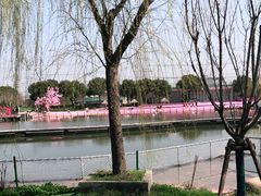 -上海杨姆庄园