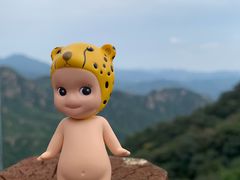 -大岭沟猕猴桃谷风景区