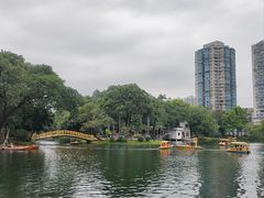-晓港公园