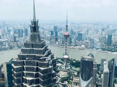 -上海柏悦酒店·世纪100牛排馆
