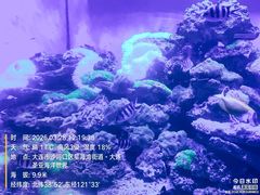 -大连圣亚海洋世界