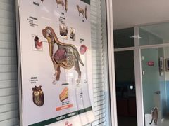 -瑞派福兴宠物医院犬猫全科·骨科·中西医结合(河东店)