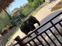 -北京野生动物园