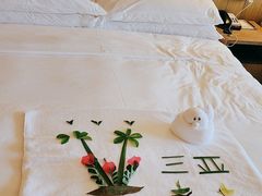 -三亚亚龙湾万豪度假酒店
