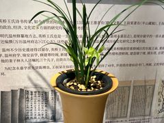 -墨池公园