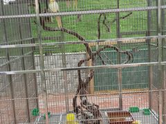 -瑞博尔花园酒店(太周创新产业园店)