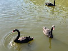 -宿豫区运河湾森林动物园