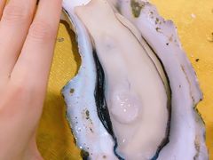 -蚝专家(北滘店)