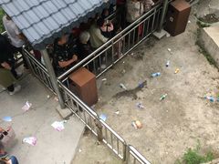 -洛阳白云山景区