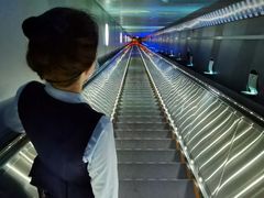 -白鹤梁水下博物馆