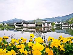 -屯溪老街