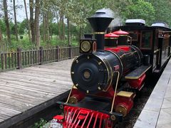 -合肥滨湖国家森林公园