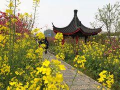 -南汇桃花村
