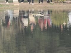 -湖南省立第一师范学校旧址