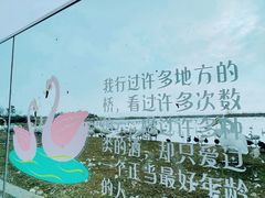 -烟墩角天鹅湖