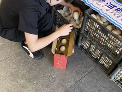 -单家老院·院子里的青岛菜(沙子口店)