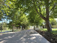 -圣露庄园·露营·烤肉·亲子