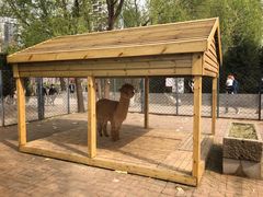 -长白岛森林公园