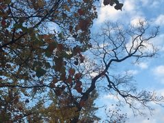 -钟山体育运动公园