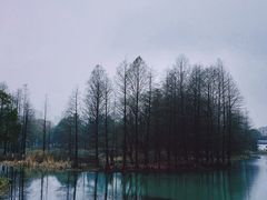 -白塘生态植物园
