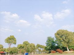 -漕湖湿地公园
