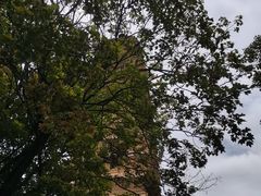 -崇圣寺三塔文化旅游区