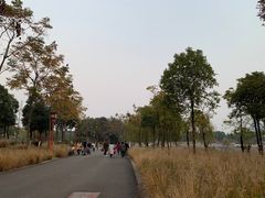 -眉山湿地公园(东坡区)