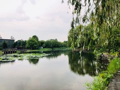 -望湖公园