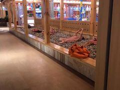 -汤W城市微度假(仓山店)