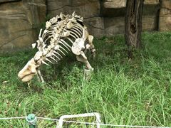 -西安秦岭野生动物园