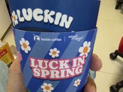 -瑞幸咖啡(回龙观上品折扣店)