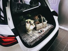 -上海浦东smart汽车全功能店(金桥店)