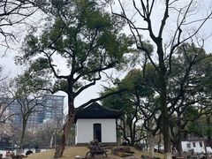 -墅园