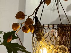 -MAISON门前杂货店