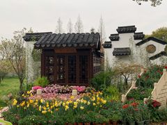 -苏州上方山国家森林公园