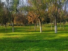 -大明宫国家遗址公园·御道广场