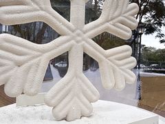 -深圳湾万象城(南山店)