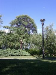 点击看大图 android_upload_pic-大望京儿童游乐场