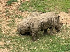 -大连森林动物园