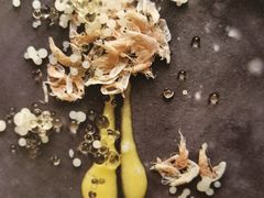 -真地道京味府·鲜橙烤鸭·北京菜(朝外大街东大桥店)