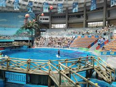 -海合安成都极地海洋公园