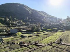 -四明山国家森林公园