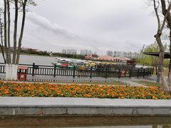 -上海长兴岛郊野公园