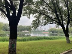 -朝阳公园