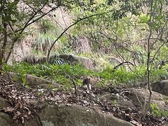 -普陀山风景区-佛顶山